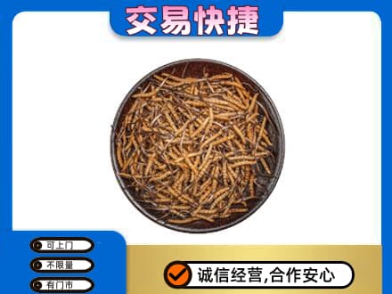 甘孜州石渠高价回收散虫草